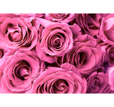 Fotomural rosas flores rosas - TenVinilo