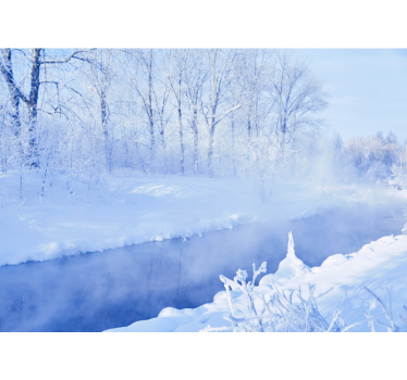 Papel pintado paisaje serenidad de paisaje invernal - TenVinilo
