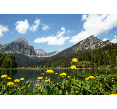 Papel pintado paisaje vista de lago en montaña - TenVinilo
