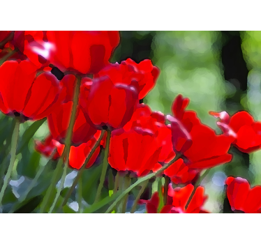 Fotomural de amapolas flores rojas vibrantes - TenVinilo