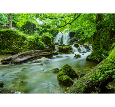 Fotomural naturaleza cascada de serenidad verde - TenVinilo