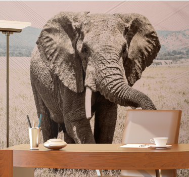 Fotomural animal elefante regal aura - TenVinilo
