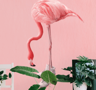 Fotomural animal flamenco con zapatillas - TenVinilo