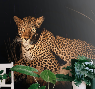 Fotomural animal leopardo en el centro de atención - TenVinilo