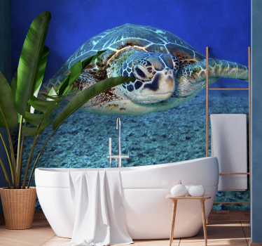 Foto mural animal tortuga carey - TenVinilo