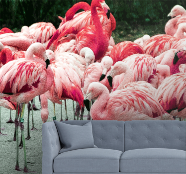 Fotomural animales bandada de flamencos - TenVinilo