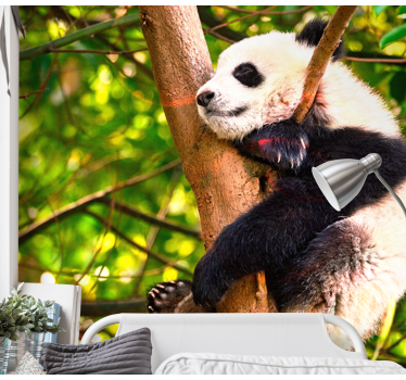 Fotomural animales cachorro de panda relajante - TenVinilo