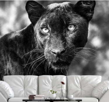 Fotomural animales cara de pantera negra - TenVinilo