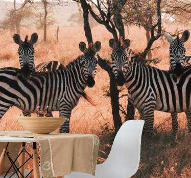 Fotomural animales cebras en la naturaleza - TenVinilo