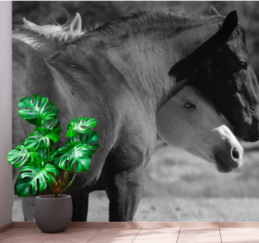 Fotomural animales compañerismo equino - TenVinilo
