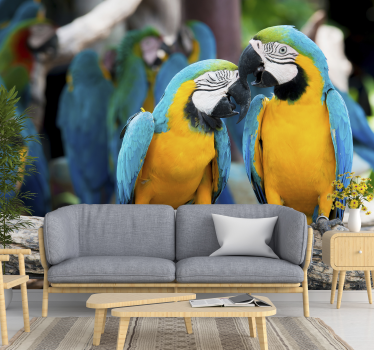 Fotomural animales encuentro de pareja de loros - TenVinilo
