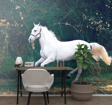 Fotomural animales equino blanco regio - TenVinilo