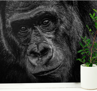 Fotomural animales gorila en primer plano - TenVinilo