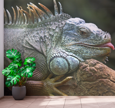 Fotomural animales iguana majestuosa en primer plano - TenVinilo
