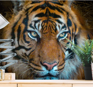 Fotomural animales ilustración de tigre real - TenVinilo