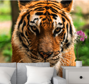 Fotomural animales imagen de tigre regalado - TenVinilo