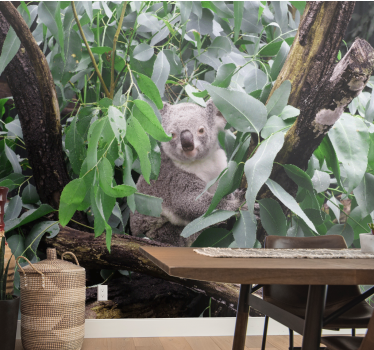 Fotomural animales koala entre hojas - TenVinilo