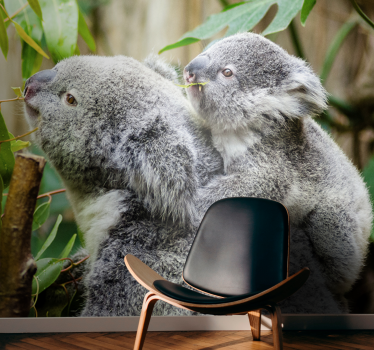 Fotomural animales koalas en el árbol - TenVinilo