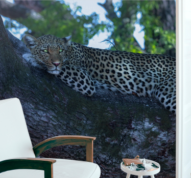 Fotomural animales leopardo descansando cómodamente - TenVinilo