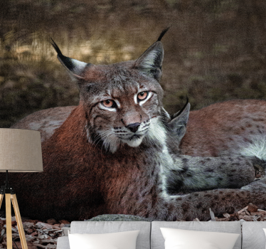 Fotomural animales lince durmiendo pareja - TenVinilo