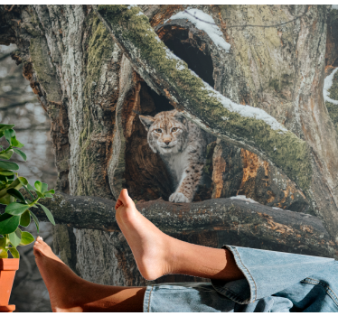 Fotomural animales lince en el árbol - TenVinilo