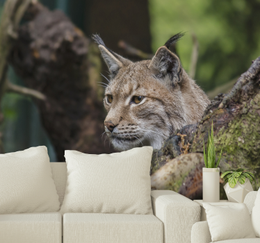 Fotomural animales lince en la naturaleza - TenVinilo