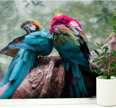 Fotomural animales llamativos loros abrazan - TenVinilo