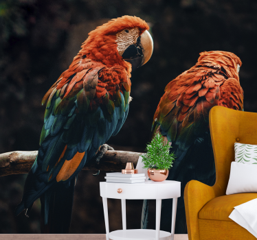 Fotomural animales loros coloridos juntos - TenVinilo
