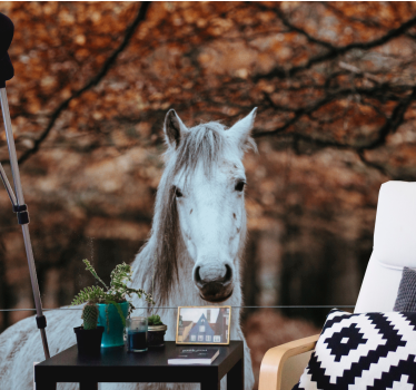Fotomural animales majestuoso caballo blanco - TenVinilo