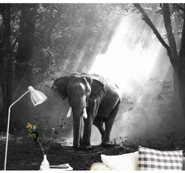 Fotomural animales majestuoso encuentro con elefantes - TenVinilo