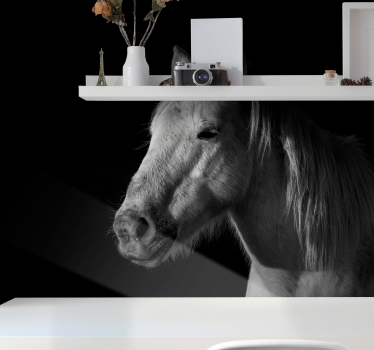 Fotomural animales majestuoso retrato de caballo - TenVinilo