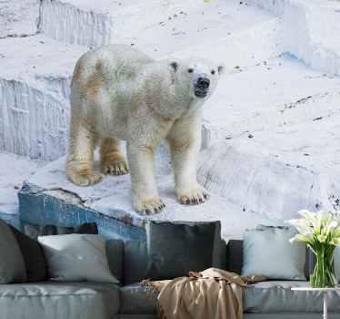 Fotomural animales oso polar en posición - TenVinilo