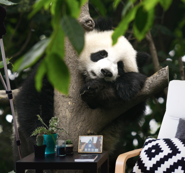 Fotomural animales panda descansando en árbol - TenVinilo