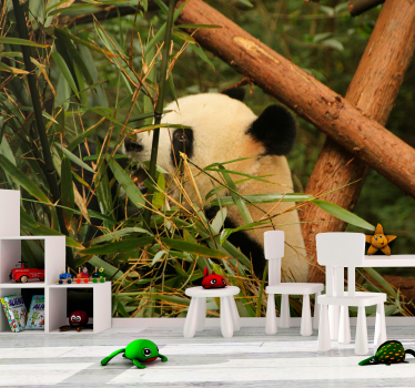 Fotomural animales panda entre bambú - TenVinilo