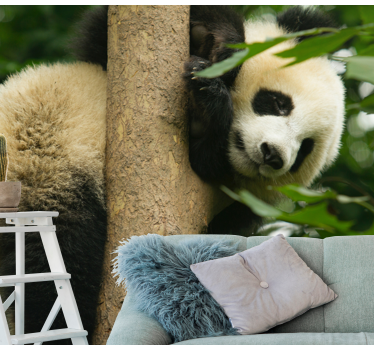 Fotomural animales panda trepando un árbol - TenVinilo