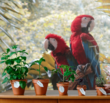 Fotomural animales pareja de guacamayos rojos - TenVinilo