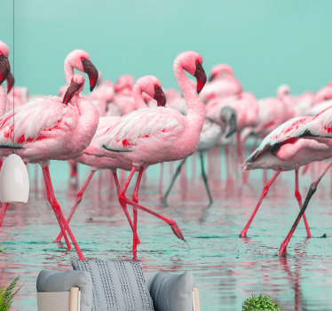 Fotomural animales paseo de flamencos - TenVinilo