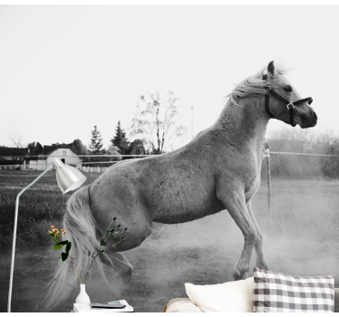 Fotomural animales pony galopante - TenVinilo