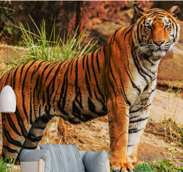 Fotomural animales presencia del tigre majestuoso - TenVinilo
