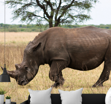 Fotomural animales rinoceronte pastando en serengeti - TenVinilo