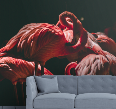 Fotomural animales serenidad de flamencos - TenVinilo