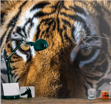 Fotomural animales tigre magnífico en primer plano - TenVinilo