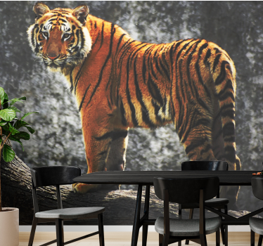 Fotomural animales tigre real en postura - TenVinilo