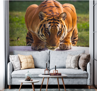 Fotomural animales tigre regalando pose - TenVinilo