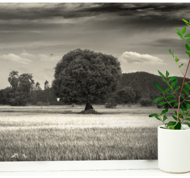 Fotomural árboles paisaje de árbol solitario - TenVinilo