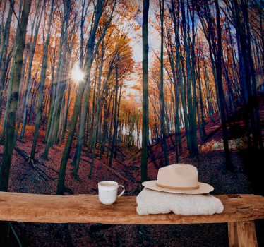 Fotomural bosque bosque de otoño soleado - TenVinilo
