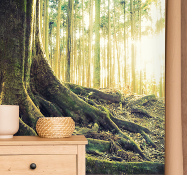 Fotomural bosque raíces de árbol iluminadas - TenVinilo