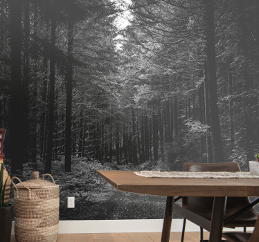 Fotomural bosque sendero sereno en el bosque - TenVinilo