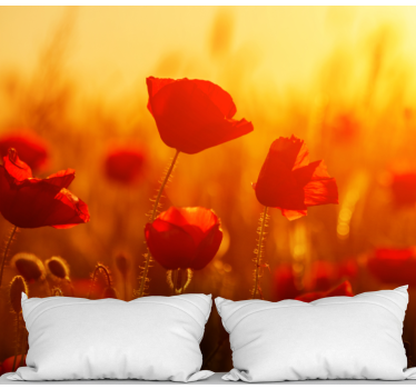 Fotomural de amapolas amanecer en el campo - TenVinilo