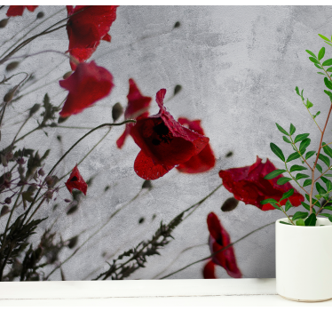 Fotomural de amapolas amapolas rojas elegantes - TenVinilo